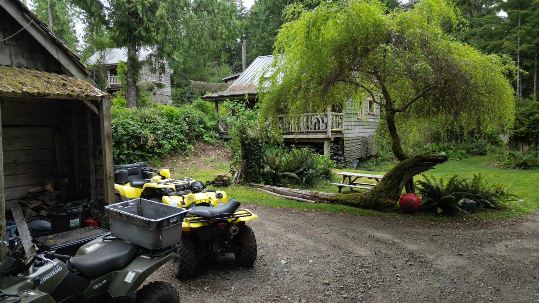 Cabin with willow tree, picnic table and quads on the property