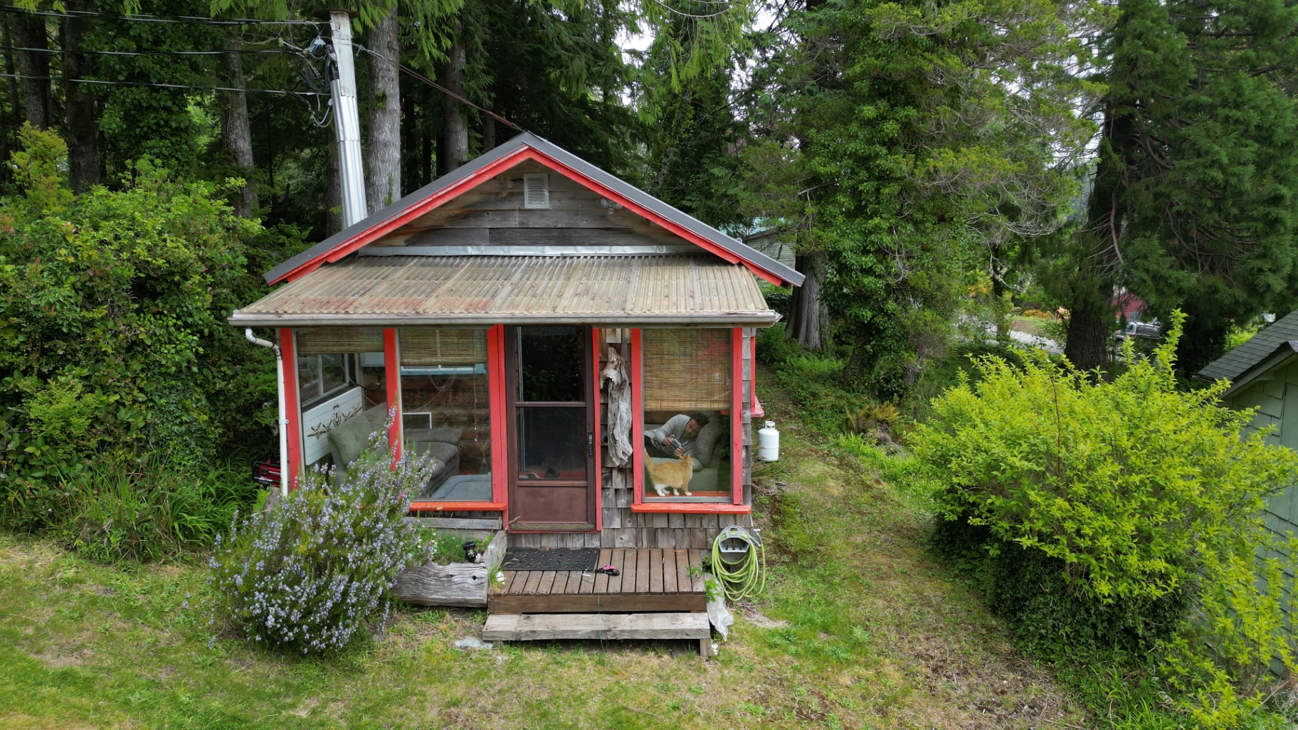 Red-trimmed cedar cabin tucked into the rainforest at Wood's End Landing